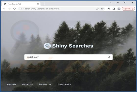 Shiny Searches Browser Hijacker