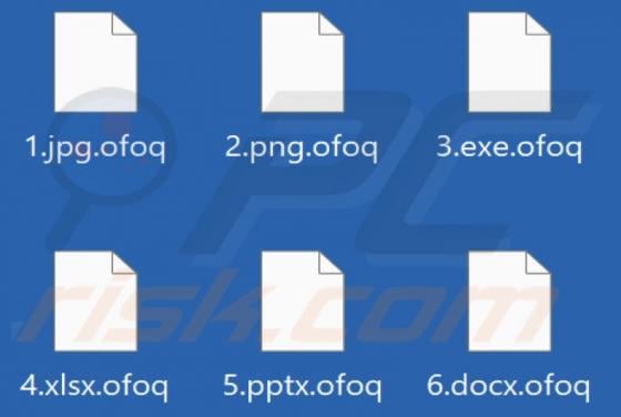 Ofoq Ransomware
