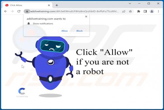 Adslivetraining.com Ads