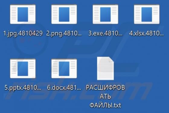 Flying Dutchman Ransomware