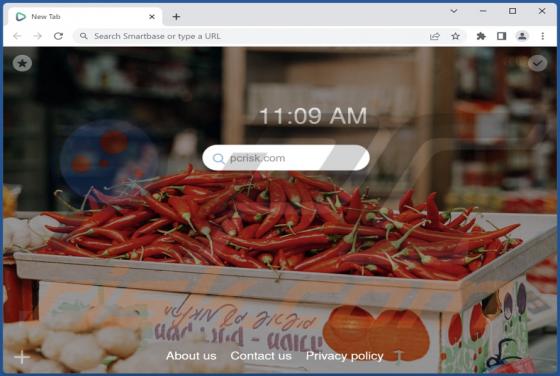 Smartbase Browser Hijacker