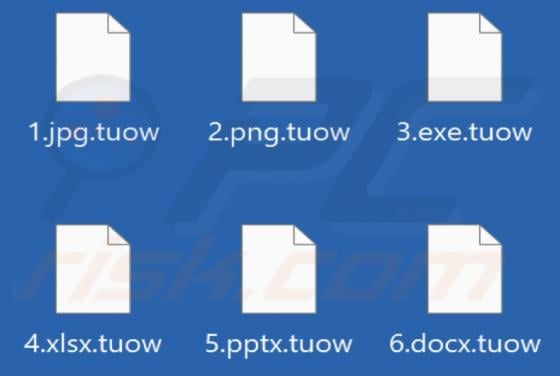Tuow Ransomware