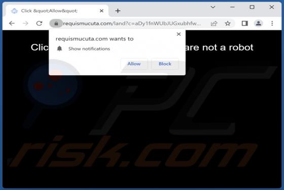 Requismucuta.com Ads