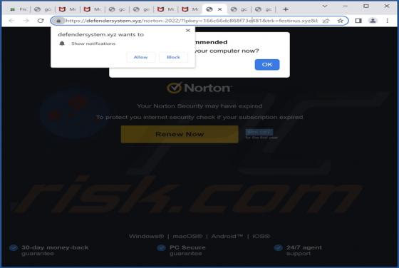 Defendersystem.xyz Ads