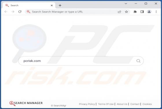 Search-Mgr Browser Hijacker
