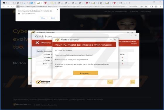 Mysecuritydatabase.live Ads