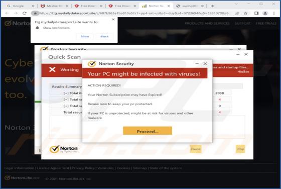 Mydailydatareport.site Ads
