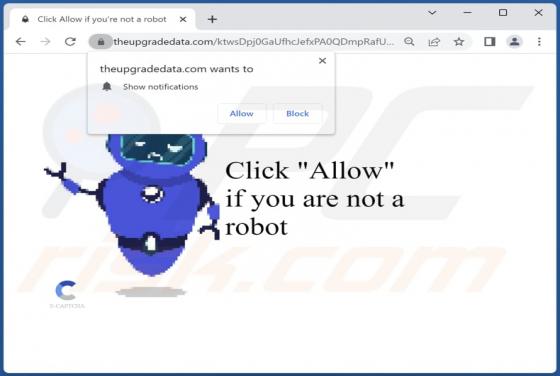 Theupgradedata.com Ads