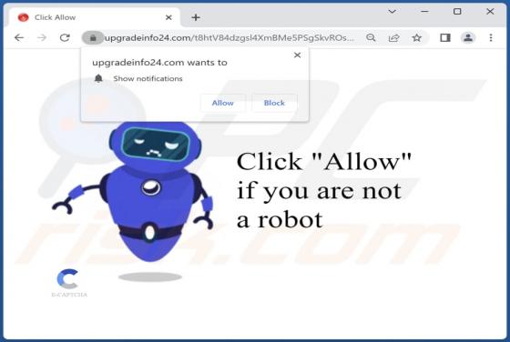 Upgradeinfo24.com Ads