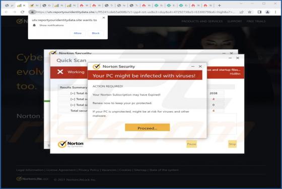 Reportyouridentitydata.site Ads