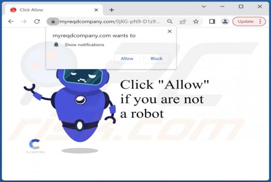 Myreqdcompany.com Ads