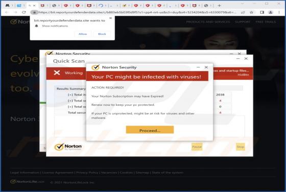 Reportyourdefenderdata.site Ads