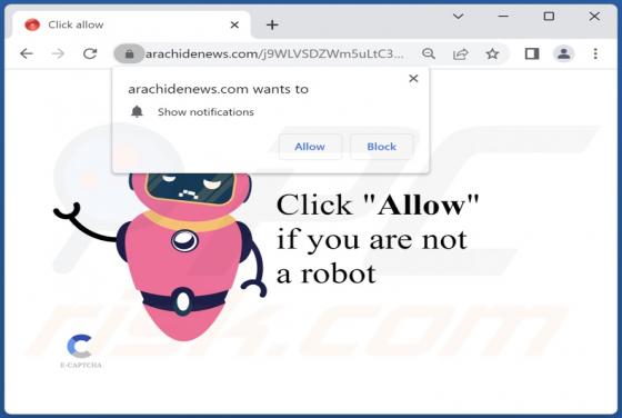 Arachidenews.com Ads