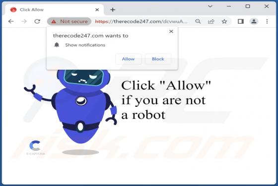 Therecode247.com Ads