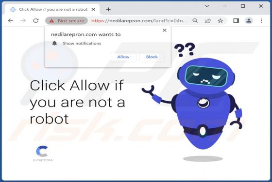Nedilarepron.com Ads