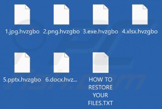 Hvzgbo Ransomware