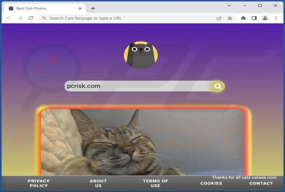 Cats Fanpage Browser Hijacker