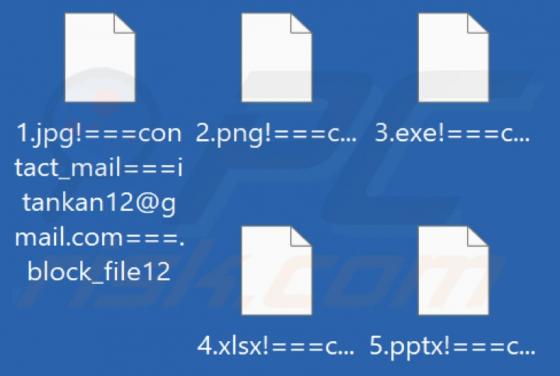 Block_file12 Ransomware