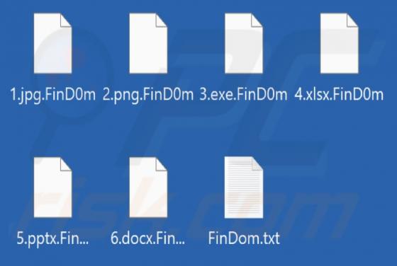 FinD0m Ransomware