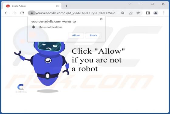 Yourvenadvllc.com Ads