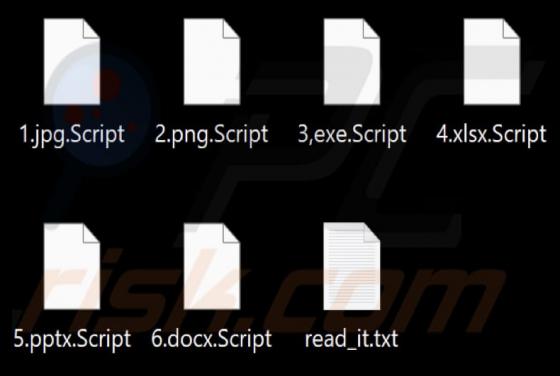 Script (Chaos) Ransomware