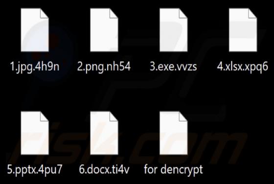 Anonymous (Chaos) Ransomware