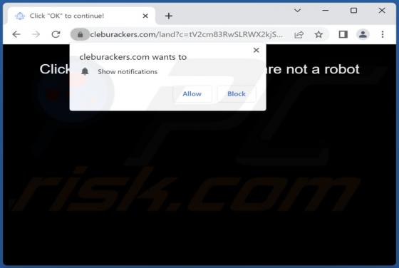 Cleburackers.com Ads