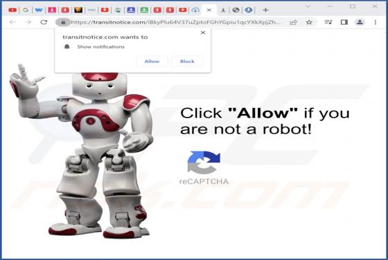 Transitnotice.com Ads