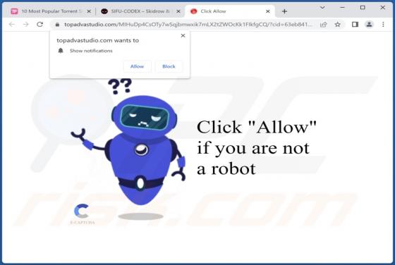 Topadvastudio.com Ads