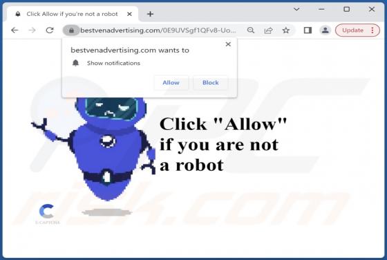 Bestvenadvertising.com Ads
