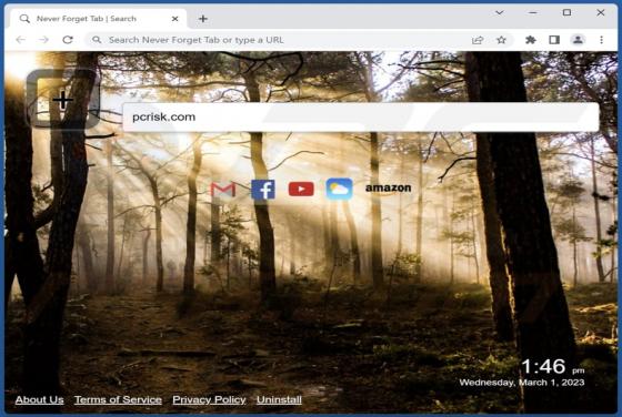 Never Forget Tab Browser Hijacker