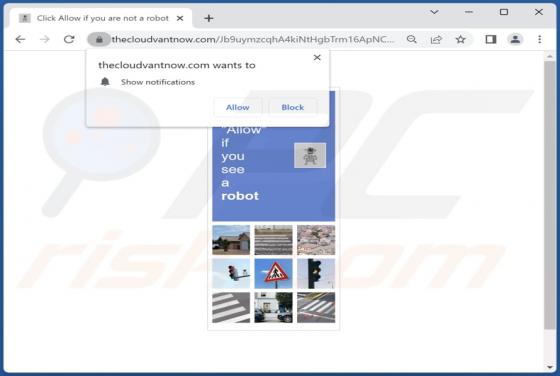 Thecloudvantnow.com Ads