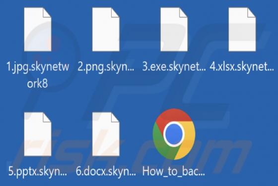 Skynetwork Ransomware