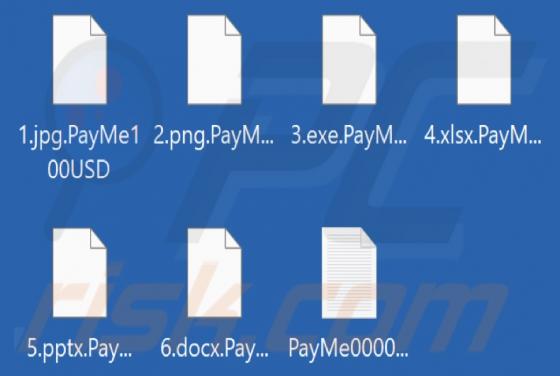 PayMe100USD Ransomware