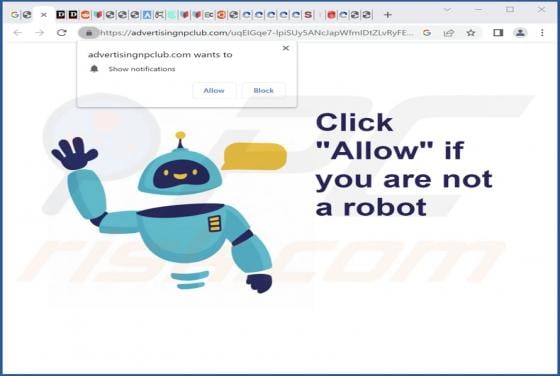 Advertisingnpclub.com Ads