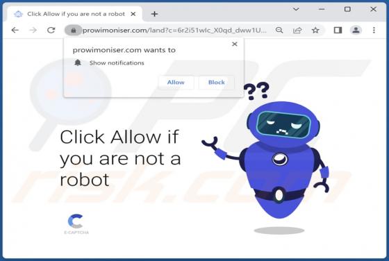Prowimoniser.com Ads