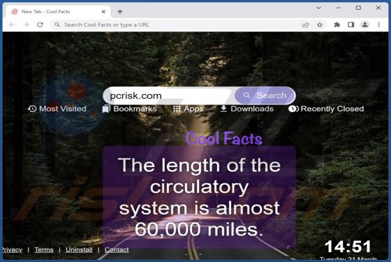 Cool Facts Browser Hijacker