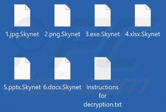 Skynet (MedusaLocker) Ransomware