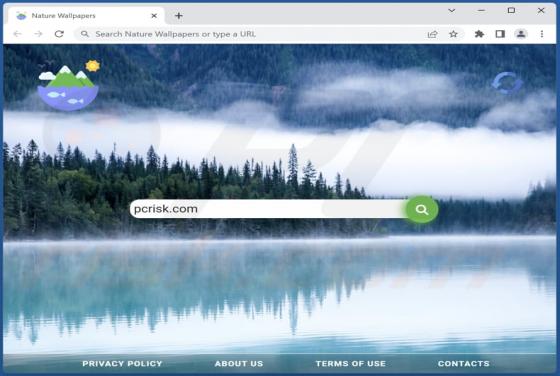 Nature Wallpapers Browser Hijacker