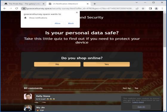 Goacecelsurvey.space Ads