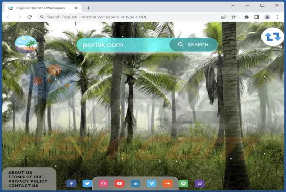 Tropical Horizons Wallpapers Browser Hijacker
