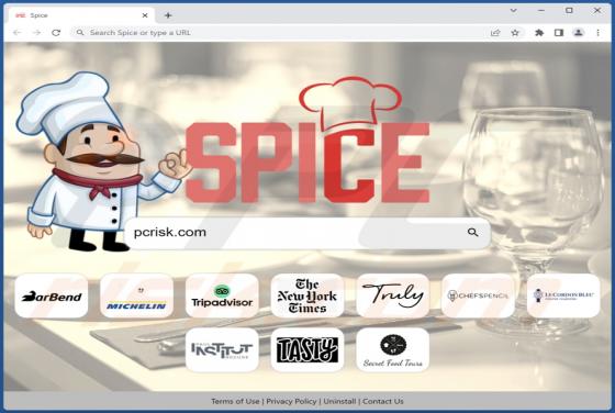 Spice Browser Hijacker