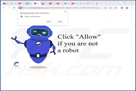 Bumperskiner.com Ads