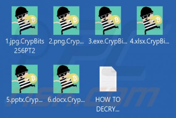 CrypBits256 Ransomware