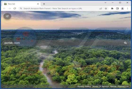 Amazon Rain Forest - New Tab Search Browser Hijacker