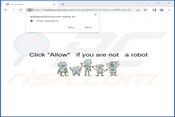 Realbeyondcook.com Ads