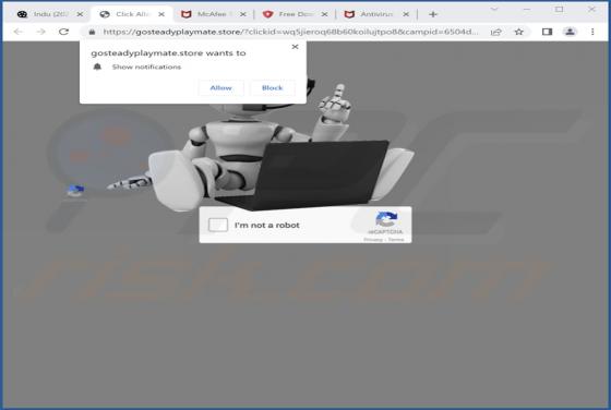 Gosteadyplaymate.store Ads