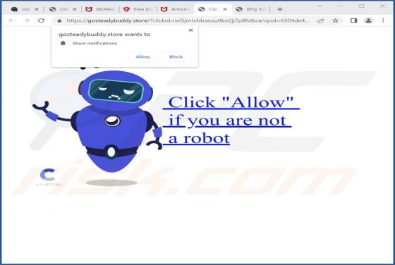 Gosteadybuddy.store Ads
