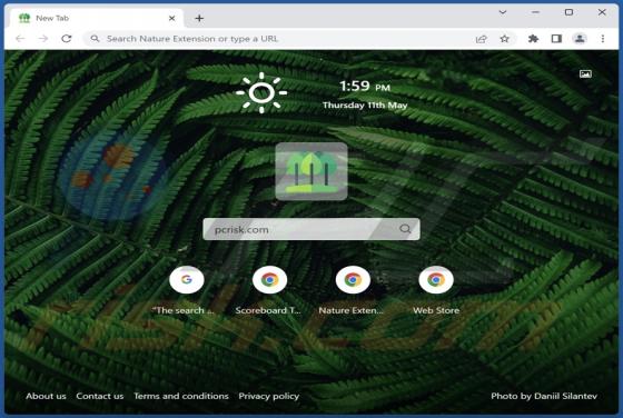 Nature Extension Browser Hijacker