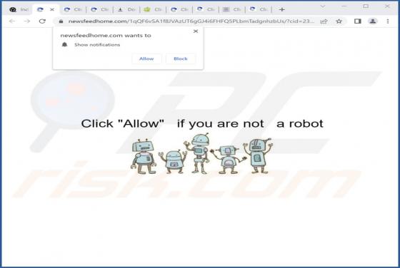 Newsfeedhome.com Ads